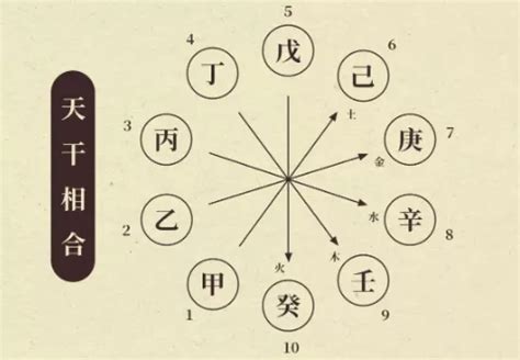 天干克|命理基礎知識梳理05：天干地支匯總，你需要的都在這。